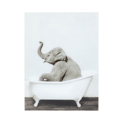 КАРЕ-Стакло Слика Elephant Shower-60x80cm