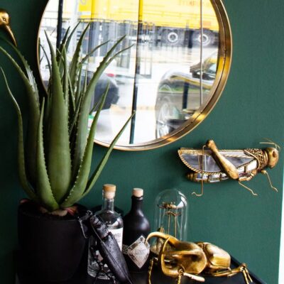 Deco Plant Aloe 69cm (2)