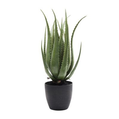 Deco Plant Aloe 69cm A