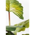 KARE Deco Plant Rainforest Green 160cm - Image 4