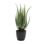Deco Plant Aloe 69cm