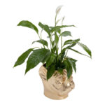 Deco planter bulldog gold (6)