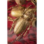 KARE Wall Decoration Longicorn Beetle Gold - Image 4