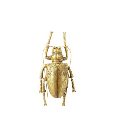 Wall Decoration Longicorn Beetle Gold
