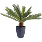 KARE Deco Plant Cycas Tree 78cm - Image 2
