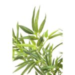 KARE Deco Plant Bamboo Tree 200cm - Image 2