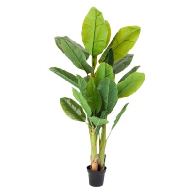 Deco plant banana tree 180cm