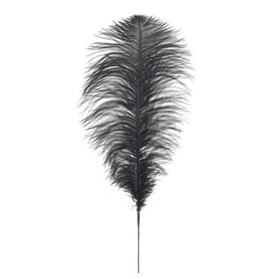 Feather Black