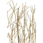 KARE Coat Rack Bush - Image 5