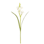 Flower Freesia White