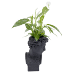 KARE Deco Planter David Black - Image 4