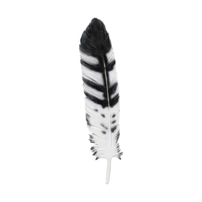 Pendë për dekorimin e murit 77cm