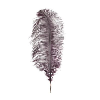 Decorative Purple Feather