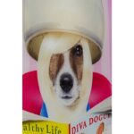 KARE Picture Glass Dogs Day Salon 80x60cm - Image 3