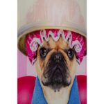 KARE Picture Glass Dogs Day Salon 80x60cm - Image 4