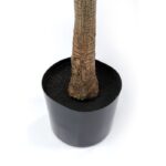 KARE Deco Plant Dracaena Fragrans 180cm - Image 4