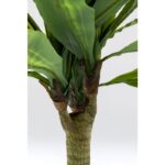 KARE Deco Plant Dracaena Fragrans 180cm - Image 3