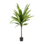 KARE Deco Plant Dracaena Fragrans 180cm