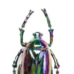 Beetle Rainbow (4)