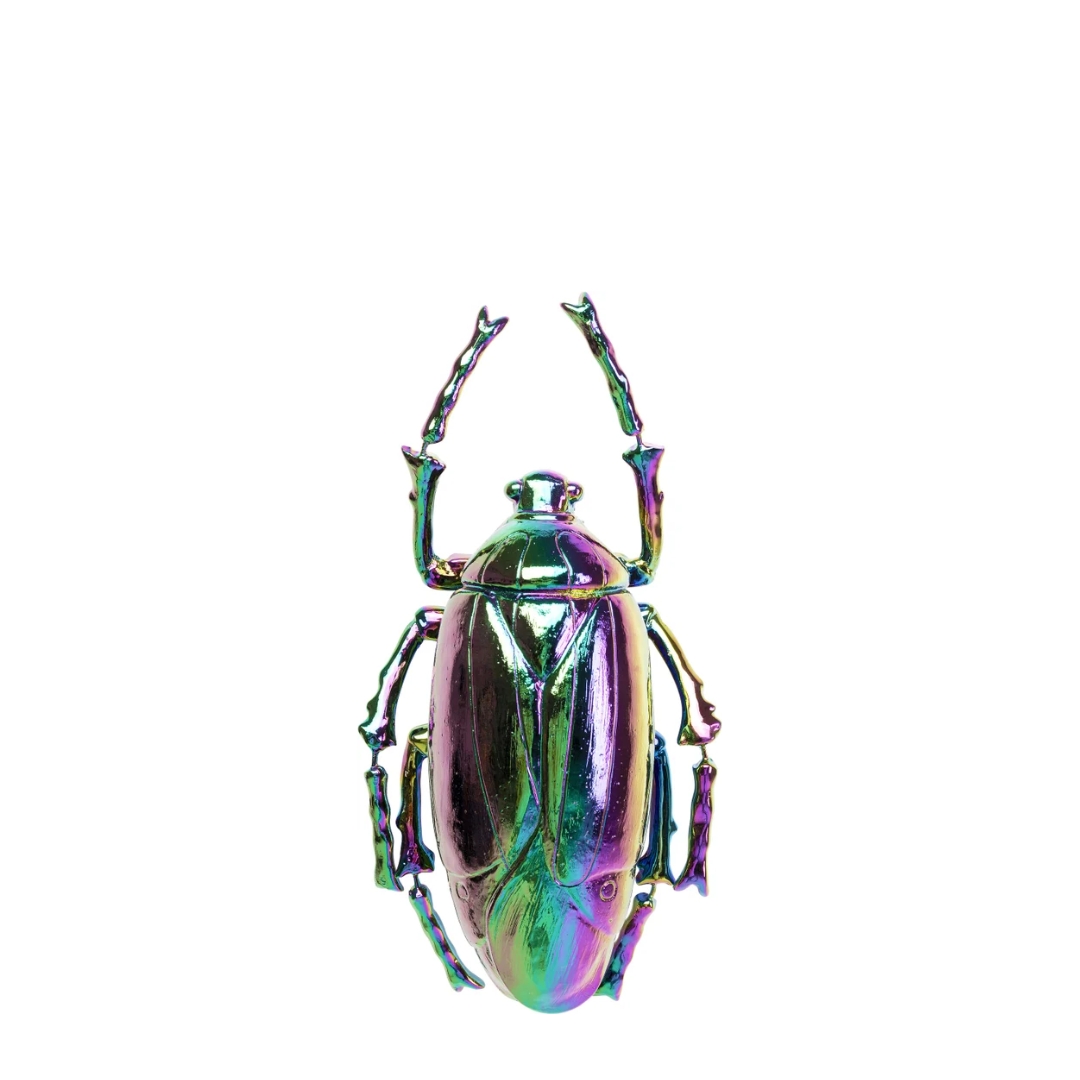 Beetle Rainbow