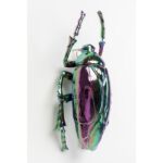 KARE Beetle Rainbow - Image 2