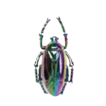 KARE Beetle Rainbow