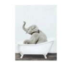 Слика во стакло Elephant Shower 60x80см