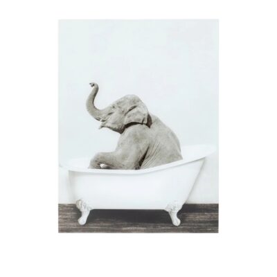 Glass Picture Elephant Dush 60x80cm