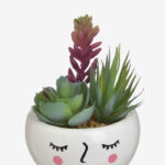 Deco Object Succulents In Pot 4