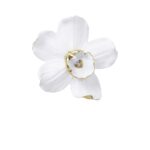 Wall Decoration Orchid White 24x25cm