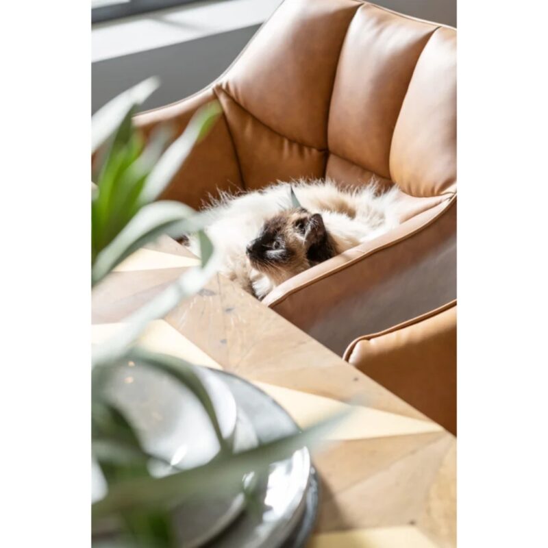 Chair with armrest thinktank brown (7)