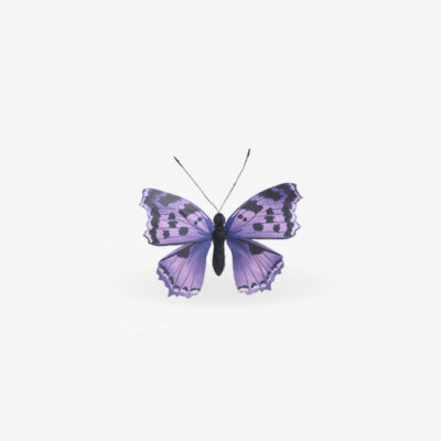 Deco Butterfly Purple Y22