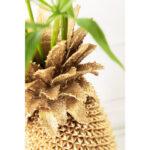 KARE Vase Pineapple 50cm_3