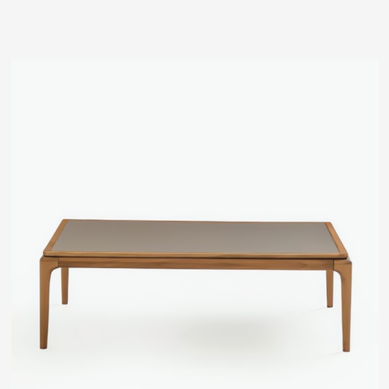 Coffee table ipsala 120x70cm (2)