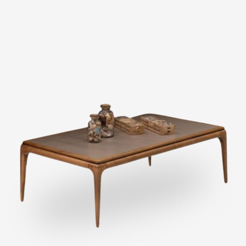 Coffee table ipsala 120x70cm (3)