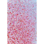 KARE Picture Touched Flower Boat Blue Pink 80x100cm