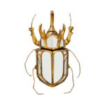 Wall Decoration Beetle Mirror