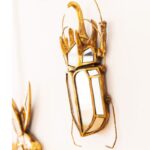 Wall Decoration Beetle Mirror - Image 3