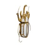 Wall Decoration Beetle Mirror - Image 4