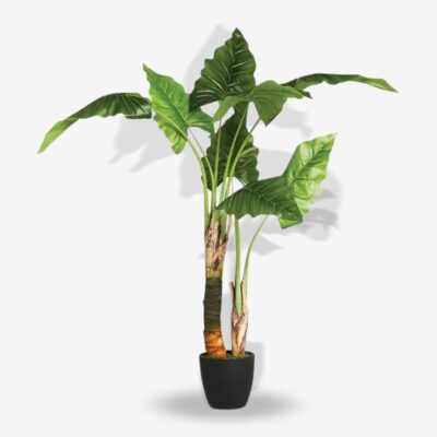 Deco Plant Adam 125x100x124cm