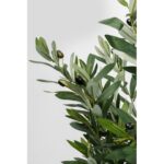 KARE Deco Plant Olive Tree 150cm (2)