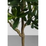 Kare Deco Plant Olive Tree 150cm (4)