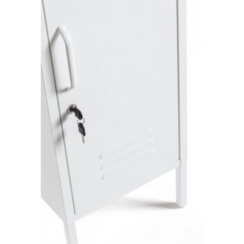 Cabinet Cambridge White (6)