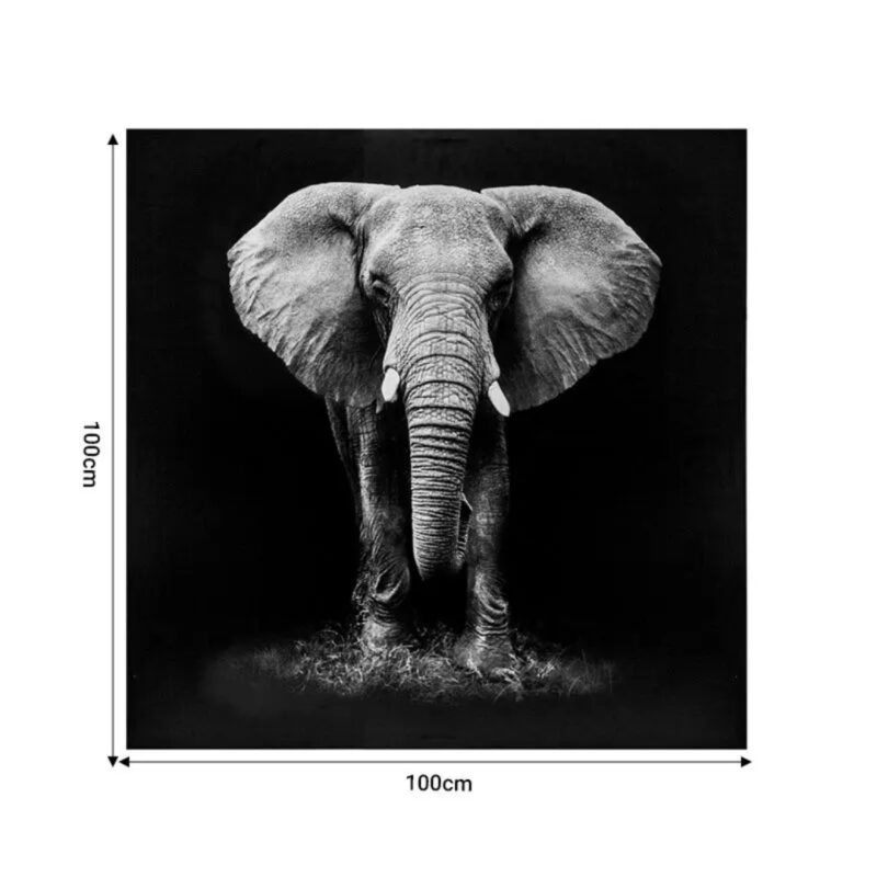 Picture Elephie 100x3x100cm (2)