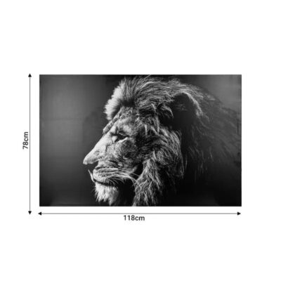 Picture Lionner 118x3x78cm (2)