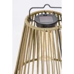 Solar Lantern Nikhita  (3)