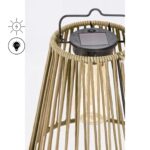 Solar Lantern Nikhita  (5)