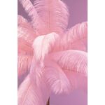 Kare Floor Lamp Feather Palm Pink 165cm (3)
