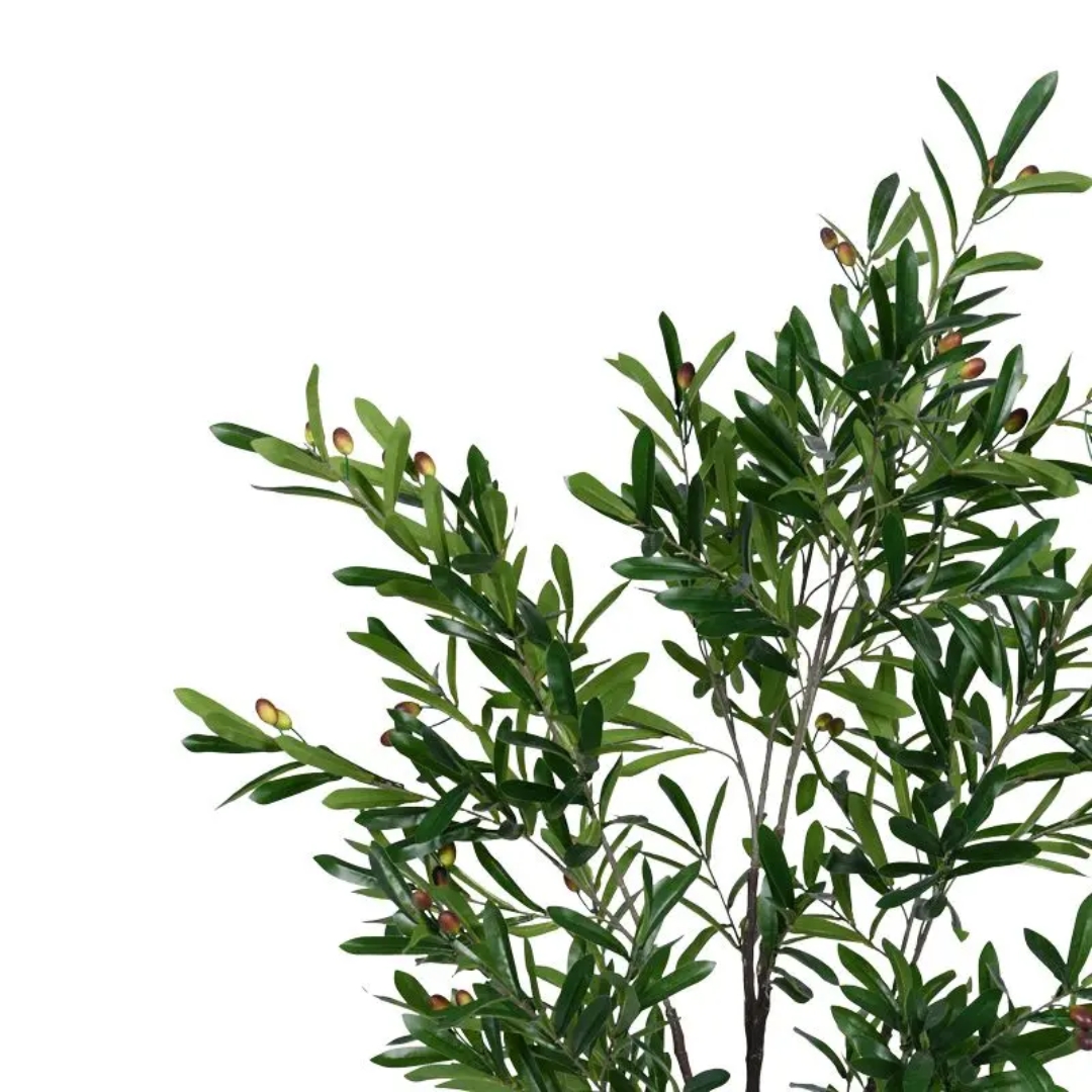 Dekoratif Zeytin Ağacı H150cm