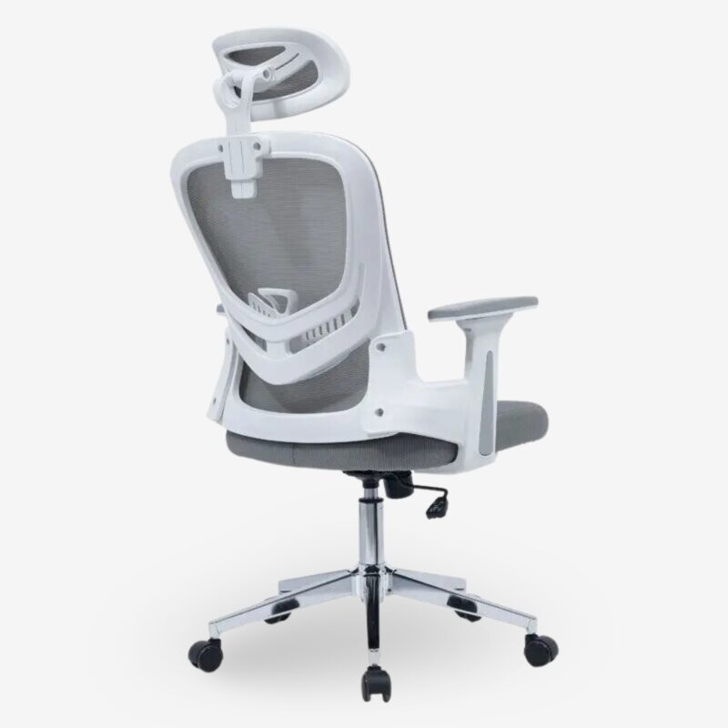 Office Chair Ignatius (3)